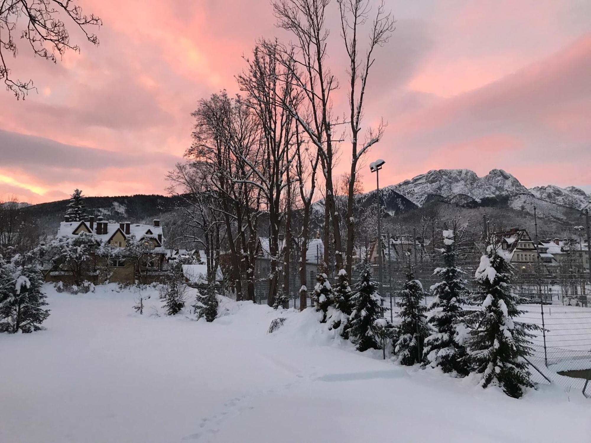 Willa Kmicic Zakopane Exterior foto